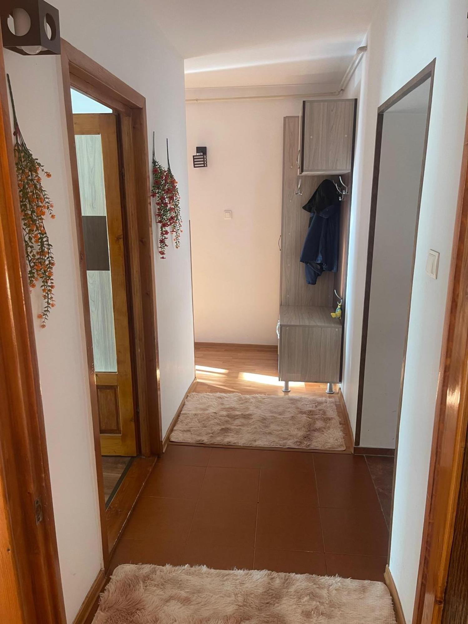 Apartament Gabriela Vulcan  Esterno foto